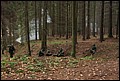 IMG_3164a.jpg