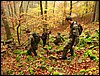 IMG_2818.jpg