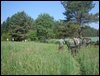 DSC09285.jpg