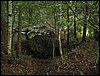 IMG_2214.jpg