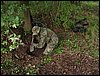 IMG_2219.jpg