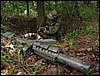 IMG_2226.jpg