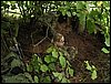 IMG_2237.jpg
