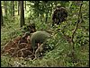 IMG_2239.jpg