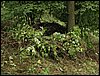 IMG_2241.jpg