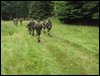 IMG_7382.jpg