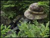 IMG_7481.jpg