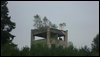 DSC05412.JPG
