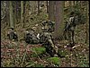 IMG_2869.jpg
