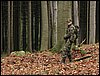 IMG_2888.jpg