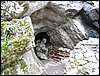 DSCN0681.JPG