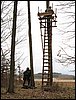 IMG_2466.jpg