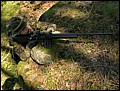 IMG_1012a.jpg