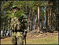 IMG_1019a.jpg