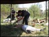 DSCF2515.JPG