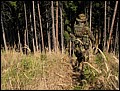 IMG_2727a.jpg