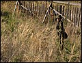IMG_2729a.jpg
