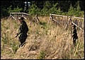 IMG_2730a.jpg