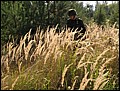 IMG_2733a.jpg