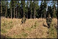IMG_2740a.jpg