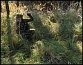 IMG_2751a.jpg