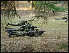 DSC03441.jpg