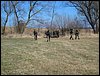 DSC03475.jpg