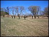 DSC03476.jpg