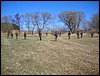 DSC03477.jpg
