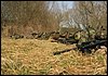 IMG_1279.jpg
