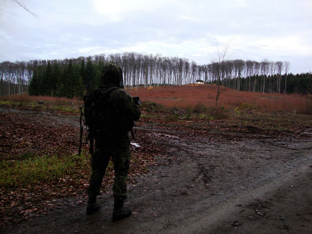 DSC08165.jpg