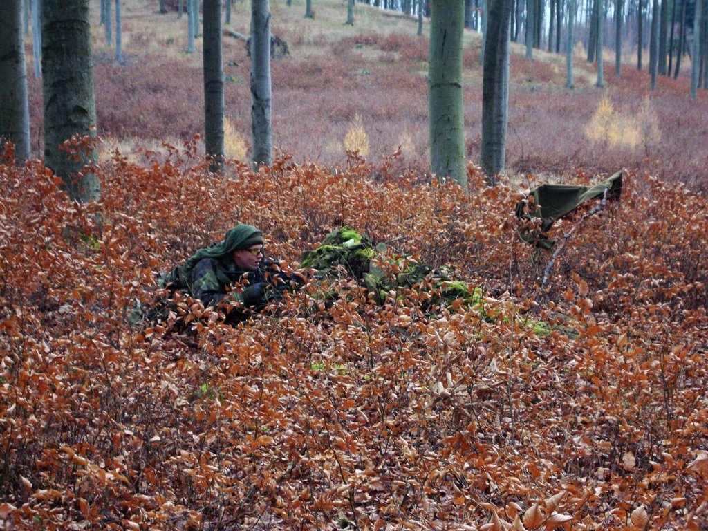 DSC08212.jpg