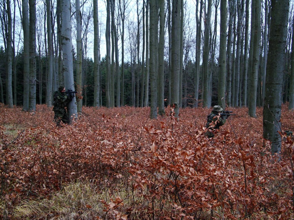 DSC08225.jpg