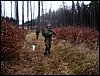 DSC08169.jpg