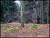 DSC08186.jpg