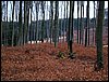 DSC08188.jpg