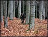 DSC08192.jpg