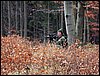 DSC08198.jpg