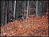DSC08200.jpg