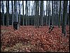 DSC08225.jpg