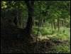 IMG_7191.jpg