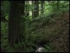 IMG_7197.jpg