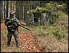 IMG_2336.jpg