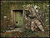 IMG_2342.jpg