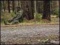 IMG_3929a.jpg