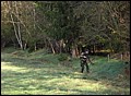 IMG_3948a.jpg