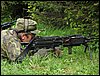 IMG_2485.jpg