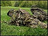 IMG_2487.jpg