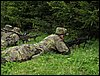 IMG_2494.jpg