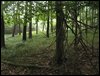 IMG_7039.jpg